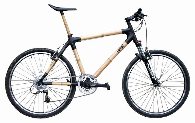BME Bamboo Bike